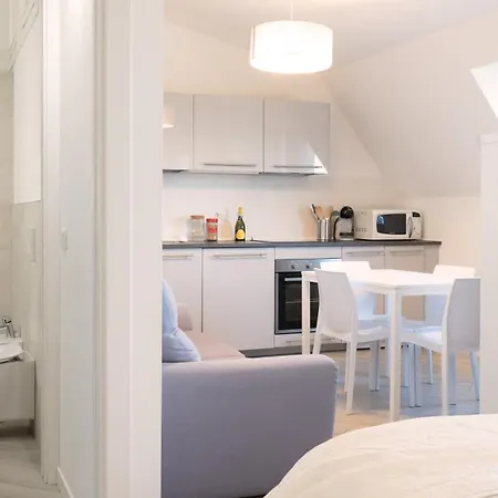 Apartment Loft In Romana